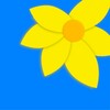 أيقونة Gallery