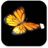 3D Butterfly Live Wallpaper icon