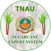Sugarcane Expert System icon