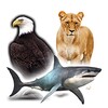 Icono de حيوان طير سمكة