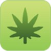 Dispensary icon