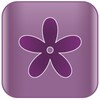 أيقونة Lilac