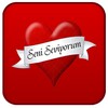 Icono de Seni Seviyorum