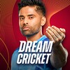 4. Dream Cricket 2024 icon