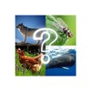 Ikon ZOO sounds quiz