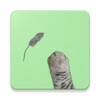 Mice Catch - Cat Game icon