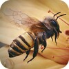 Apis Bee 4D Live Wallpaper icon