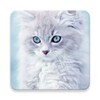 Cute Cats Wallpaper icon