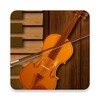 Professional Violin icon