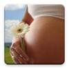 Pregnancy Calendar icon