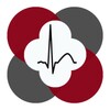 Icona di Polar H10 ECG Analysis