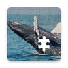 Icono de Whale Puzzle