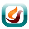 Firebird Browser - Super Fast icon