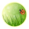Pure Nature Free Live Wallpaper आइकन