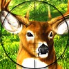 Hunt The Deer icon
