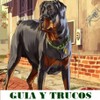 Guía y trucos GTA 5 icon