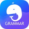 Icono de English Grammar & Test