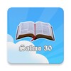 Salmo 30 icon