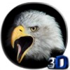 Eagle 3D Video Live Wallpaper icon