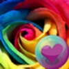 Icon von Roses HD Wallpapers