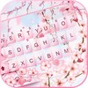 Pink Sakura Petals Theme icon