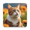 Cat Sound icon