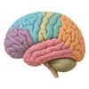 Икона Brain Balance BSD