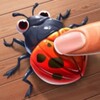 🐞 Insect smasher games for ki icon