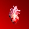 Circulatory System in 3D (Anatomy) icon