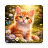Icono de Cat Wallpapers & Cute Kittens