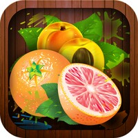 Fruit Crush android app icon
