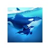 Icono de World of Water