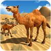 Camel Family Life Simulator 图标