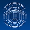Yankee Stadium icon