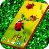 Cute Ladybug Live Wallpaper icon