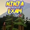 أيقونة Ninja Exam