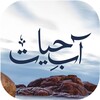 Aab e Hayat by Umera Ahmed icon