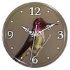 Hummingbird Clock Live WP icon