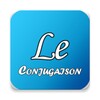 Conjugaison icon