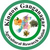 KinnowGanganagar icon