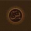 Icono de Yasin Pro