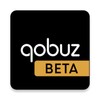Ikon Qobuz