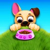 Kiki & Fifi Pet Friends icon