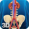 Urinary System icon