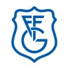 Gipuzkoako Futbol Federazioa icon