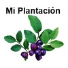 MiPlantacion icon