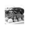 Icona di Chocolate Cake Recipes