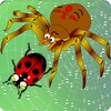 Spiders icon