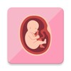 Icono de Pregnancy Tracker - Baby App