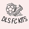 ไอคอน DLS FC Kits